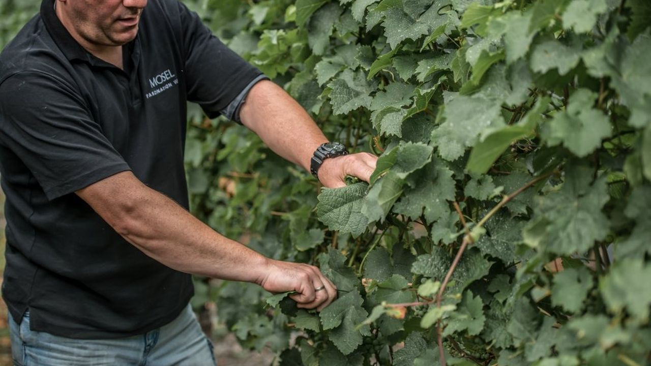 Bei der Arbeit Bei der Arbeit